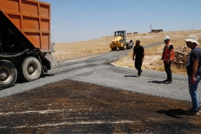 WhatsApp Image 2023-07-31 at 13.50.10 (1)