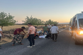 viransehir_de_trafik_kazasi_3_yarali_h47754_f8e44