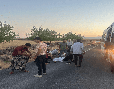 viransehir_de_trafik_kazasi_3_yarali_h47754_f8e44