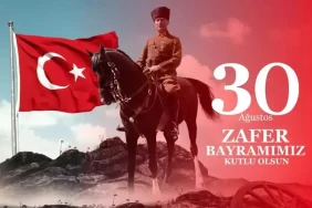 64ee2589e14f2adf329b959e