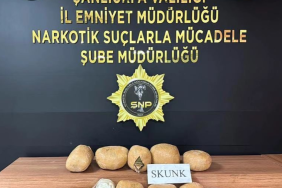 Ekran görüntüsü 2023-08-31 100324