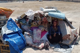 WhatsApp Image 2023-08-02 at 16.19.33