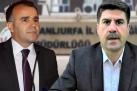 WhatsApp Image 2023-08-08 at 11.37.59