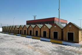 WhatsApp-Image-2023-08-09-at-10.18.57