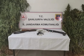 WhatsApp Image 2023-08-16 at 11.25.40