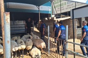 WhatsApp Image 2023-08-18 at 10.19.50