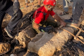 WhatsApp Image 2023-08-18 at 20.29.02