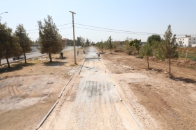 WhatsApp Image 2023-08-31 at 12.22.41