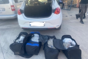 6b04b9b5-aba9-40f6-a6dd-e4d12bc5484c