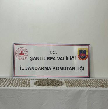 IMG-20230911-WA0088