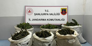 IMG-20230917-WA0090