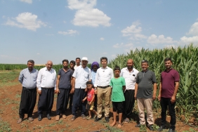 WhatsApp Image 2023-09-01 at 11.41.58