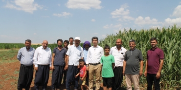 WhatsApp Image 2023-09-01 at 11.41.58