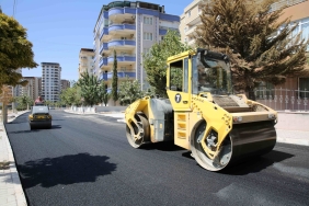 WhatsApp Image 2023-09-11 at 11.48.56