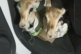 WhatsApp Image 2023-09-12 at 22.26.20