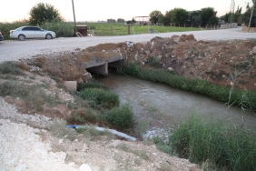 WhatsApp Image 2023-09-14 at 10.56.06