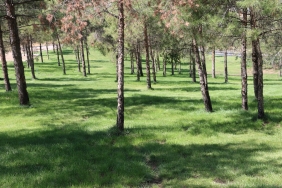 WhatsApp Image 2023-09-18 at 11.58.29 (1)