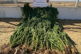 WhatsApp Image 2023-09-20 at 12.41.33