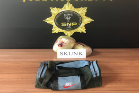 sanliurfa_da_2_aracta_yapilan_aramada_uyusturucu_ele_gecildi_h48484_98293 (1)