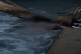 sanliurfada_bulunan_ceset_kayip_cocuga_ait_cikti_h48570_d9d87