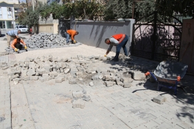 WhatsApp Image 2023-10-03 at 14.48.01 (1)