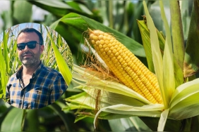 WhatsApp Image 2023-10-04 at 10.51.19