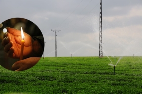 WhatsApp Image 2023-10-04 at 10.59.51