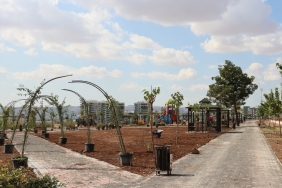 WhatsApp Image 2023-10-06 at 11.29.18