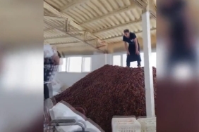 WhatsApp Image 2023-10-06 at 12.48.27