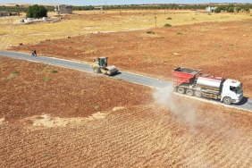 WhatsApp Image 2023-10-09 at 10.40.06