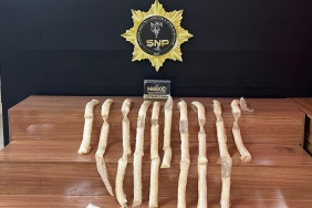 WhatsApp Image 2023-10-11 at 09.19.50