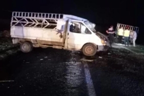 WhatsApp Image 2023-10-11 at 10.10.43