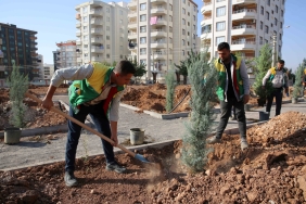 WhatsApp Image 2023-10-30 at 10.18.25