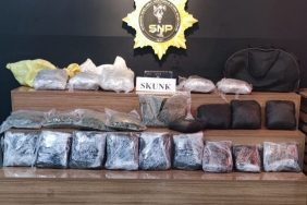 WhatsApp Image 2023-10-30 at 11.00.40