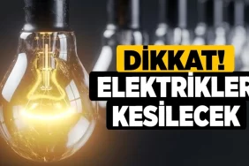 fbdggfvvfd5648567489641