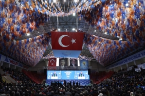 thumbs_b_c_3979228a8b1febb3637a3612afec51c4