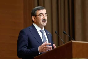 307cbeeb-556b-46c1-986d-fb4febc44bb5