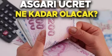 637b538e18c77318d8ca1dd8