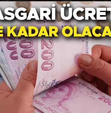 637b538e18c77318d8ca1dd8