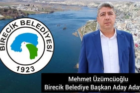 InShot_20231126_152425688