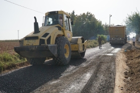 WhatsApp Image 2023-11-06 at 12.23.51