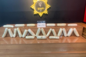 WhatsApp Image 2023-11-08 at 11.02.30