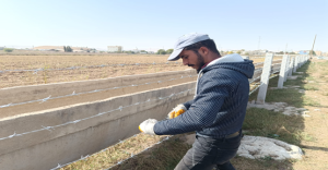 dsi_sanliurfada_bogulmalara_karsi_kanaletlere_tel_orgu_cekiyor_h49333_f4901