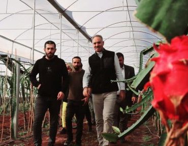 sanliurfada-ilk-kez-eyyubiyede-yetistirildi_324f7