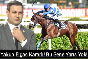 InShot_20231230_184105402