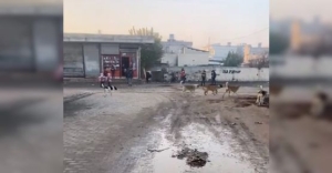 akcakalede_kucuk_ogrenciler_sokak_kopeklerinin_tehdidi_altinda_h49973_7c43a