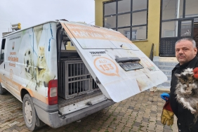 WhatsApp Image 2024-01-05 at 11.56.45