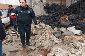 WhatsApp Image 2024-01-26 at 14.42.42