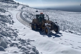 WhatsApp Image 2024-01-26 at 14.51.05 (1)