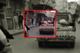 WhatsApp Image 2024-01-29 at 13.10.22